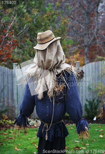 Image of Scarecrow