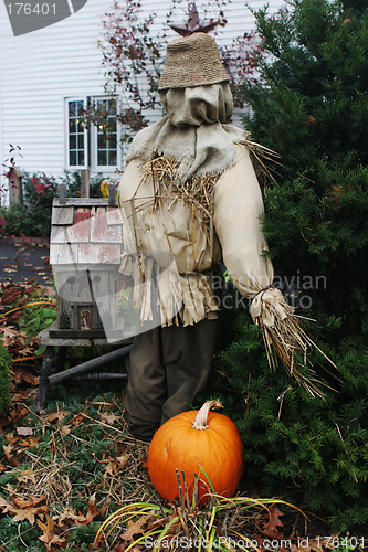 Image of Scarecrow in a garden