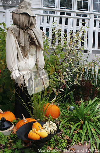 Image of Scarecrow with pumpkins