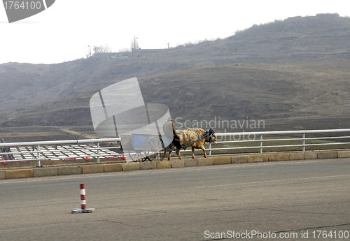 Image of Northkorea