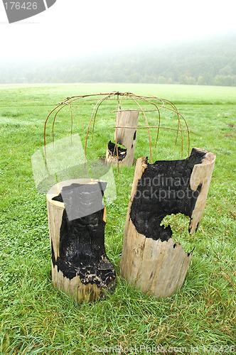 Image of Burned out tree trunks 01