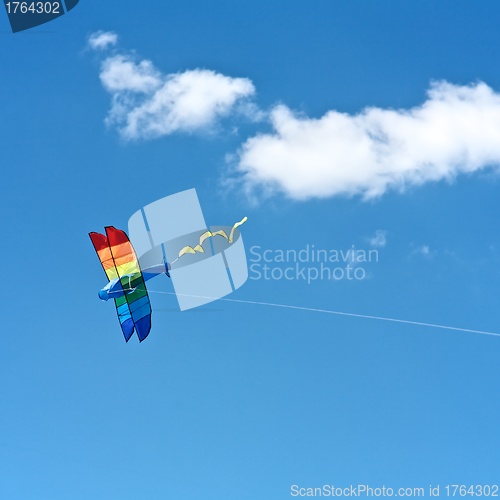 Image of Kite Flying