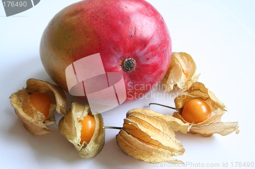 Image of Mango and physalis