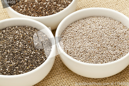 Image of chia seed variety