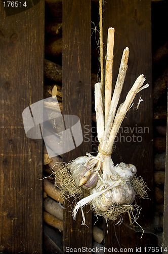 Image of Garlic on a string