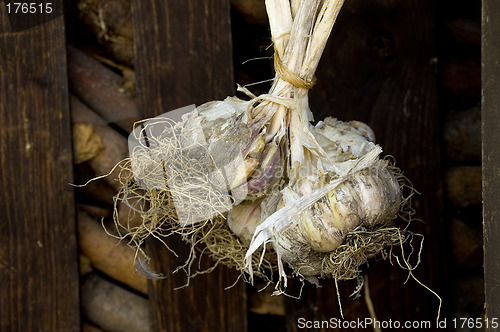 Image of Garlic store