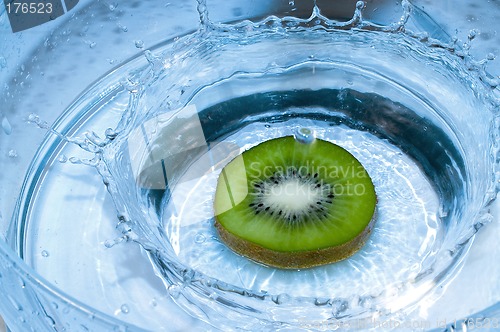 Image of Kiwi splashing