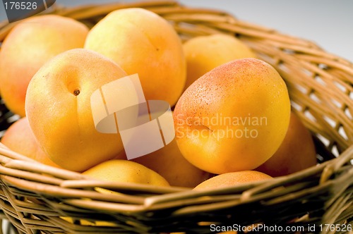 Image of apricot