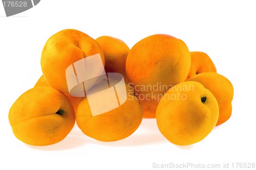 Image of Apricot