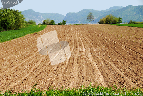 Image of Plowed field