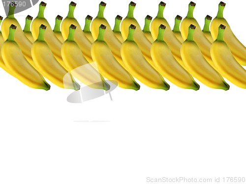 Image of bananas