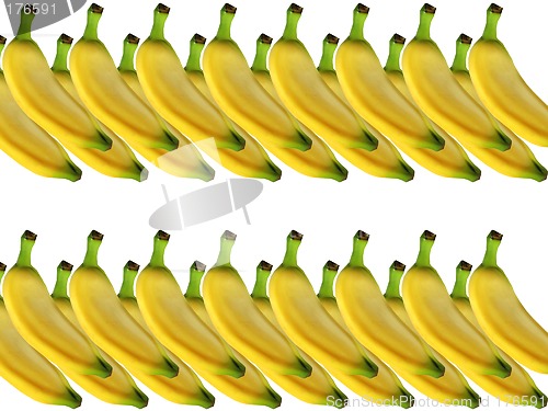 Image of lines of bananas