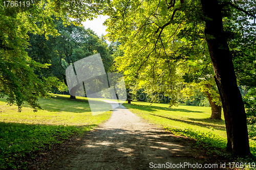 Image of Sunny road to park in the summer