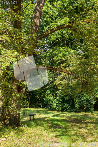 Image of bench in the park