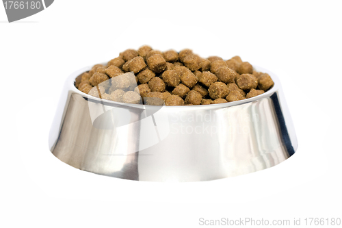 Image of dog food isolated