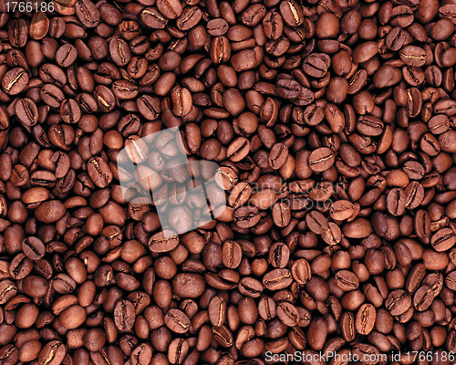Image of Coffee beans texture or background