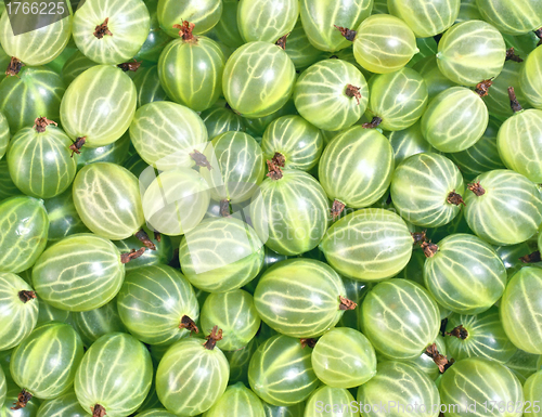 Image of Gooseberries background