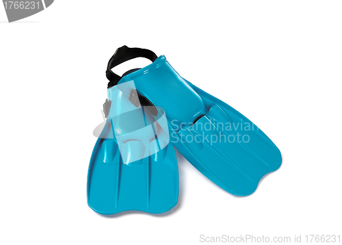 Image of Flippers isolated against white background