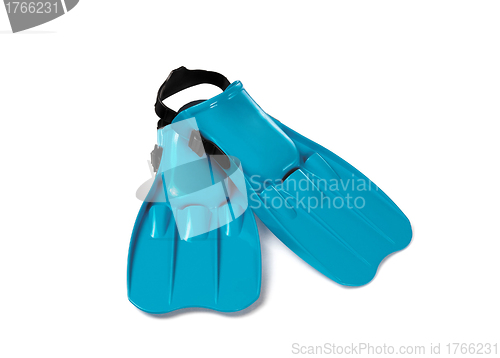 Image of Flippers isolated against white background