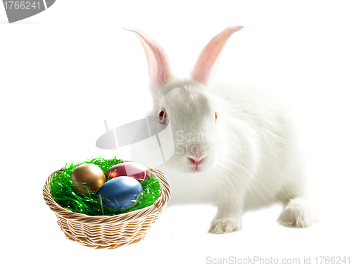 Image of Colorful easter eggs and rabbit