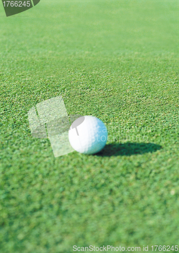 Image of Golf Ball on the Green Grass