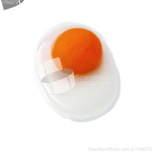 Image of Egg yolk on a white background