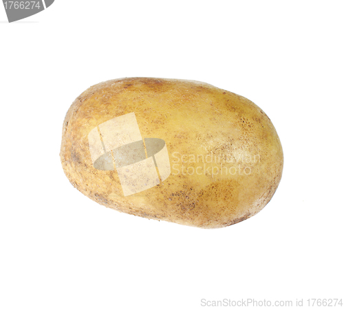 Image of potato isolated on white background close up