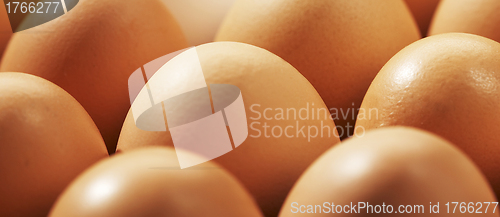 Image of close up of eggs