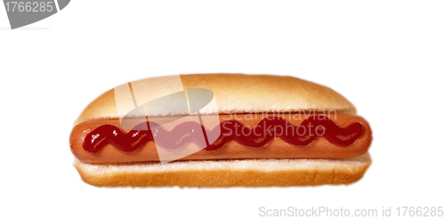 Image of hot dog