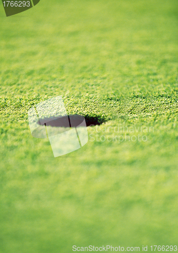 Image of Golf hole on the green grass
