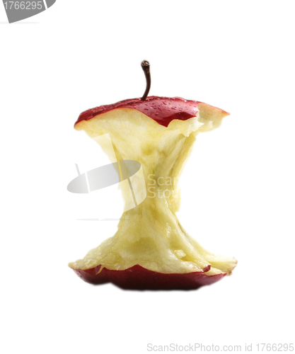 Image of apple core on a white background