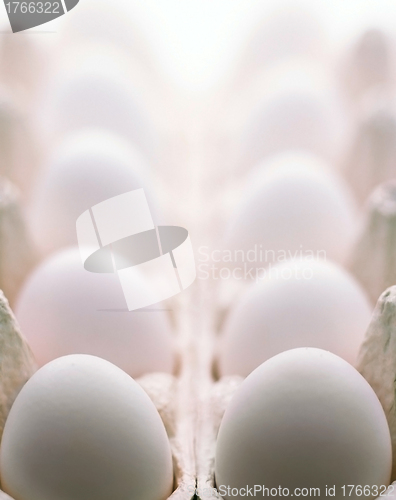 Image of Chicken egg isolated over the white background