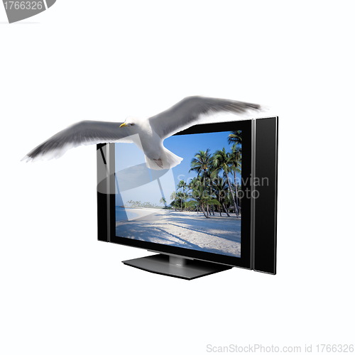 Image of Beach and seagulls