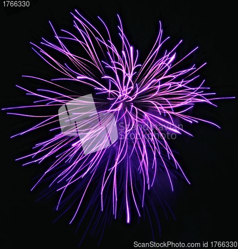 Image of Purple Fireworks released in the dark sky