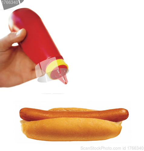 Image of hot dog with sausage
