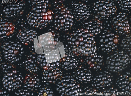 Image of composition from a blackberry