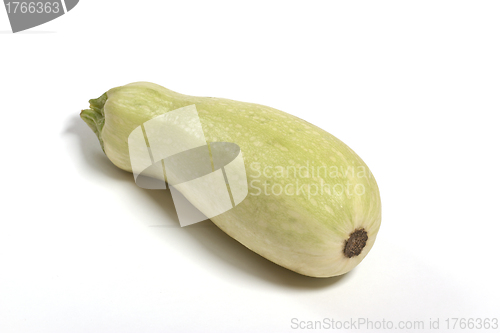 Image of white eggplant