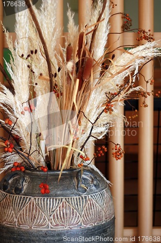 Image of Pot of dried plants