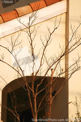 Image of Architectural Lines III