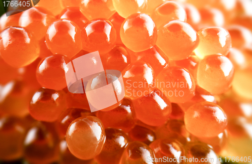 Image of Red caviar background
