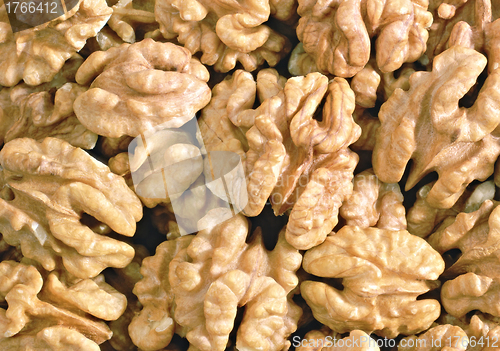 Image of walnut kernel