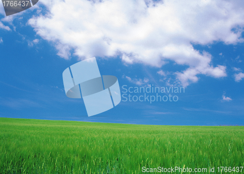 Image of green field and blue sky
