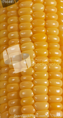 Image of Background corn