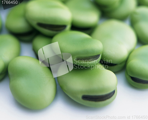 Image of A heap of broad beans isolated on white