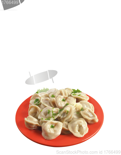 Image of Russian national ravioli with dill on a plate