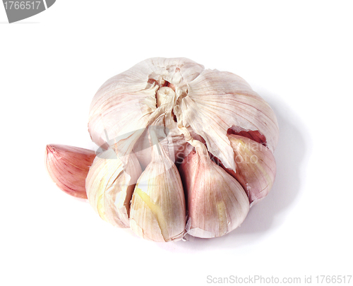 Image of Garlic isolated on white with soft shadow