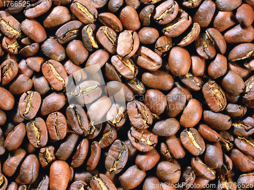 Image of Coffee beans closeup background