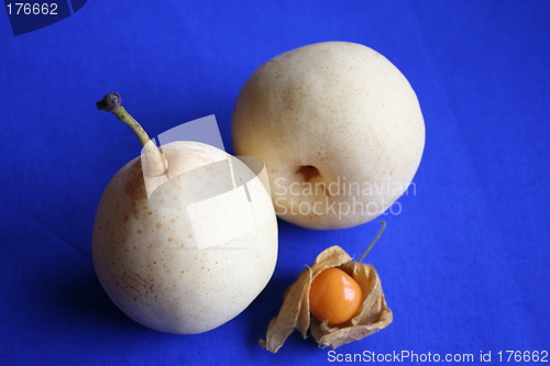 Image of Nashi pears and physalis