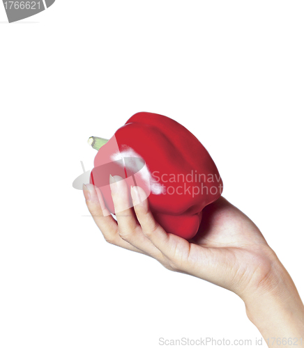 Image of hand with a sweet pepper. isolated on white