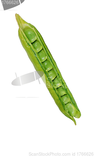 Image of Pea Pod Isolated on a white background